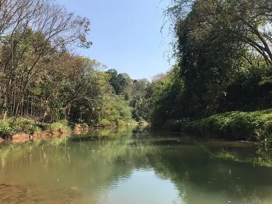 Neyyar trek (4)
