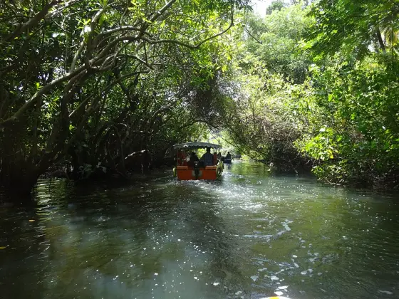 Poovar (2)