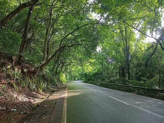 The Ranni–Erumeli road through the surrounding countryside.