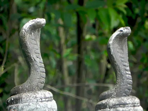 Stone serpent figures at Mannarasala.