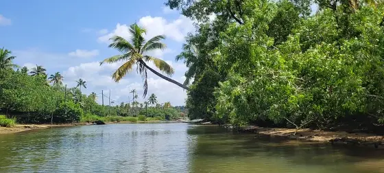 Poovar (1)