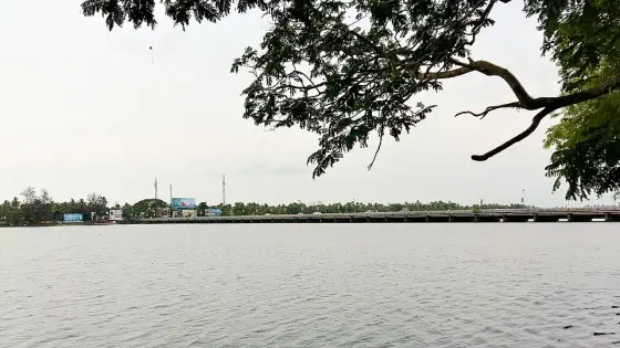 Thottappally Beach (3)