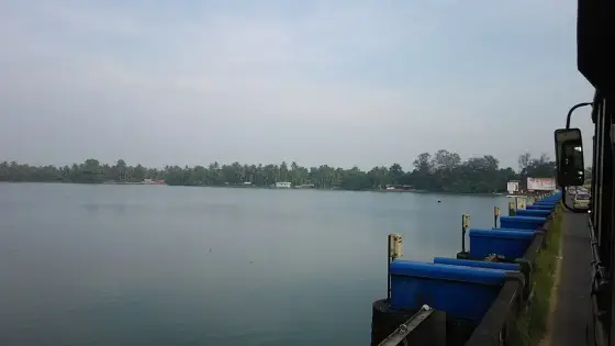 Thottappally Beach (4)