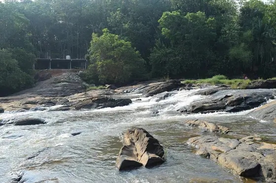 Vattathil Waterfalls (2)