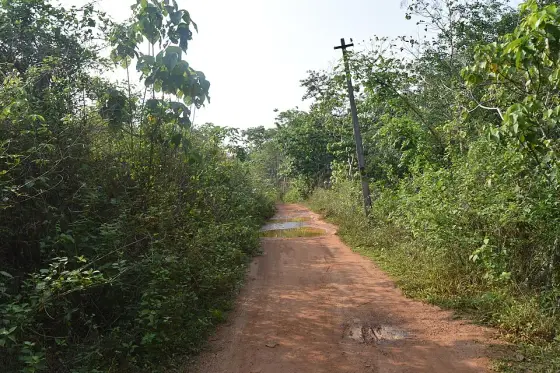 Vattathil Waterfalls (6)