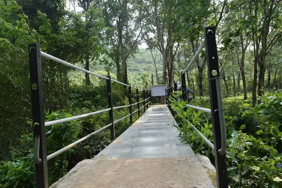 Vattathil Waterfalls (5)