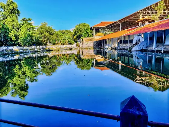 The temple pond at Ettumanoor.
