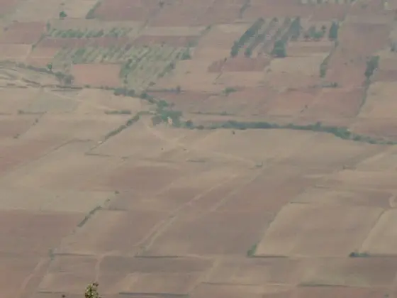 The Tamil Nadu plains viewed from the Mangaladevi hills.