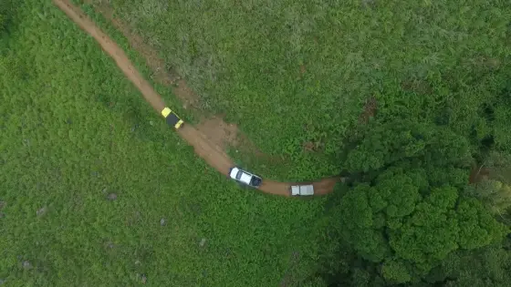A track crossing the green hillside at Aranamala, viewed from above.