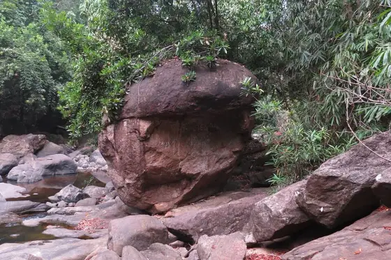 Thommankuthu Waterfalls (2)