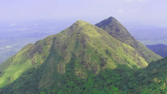 Chembra Peak trek (3)