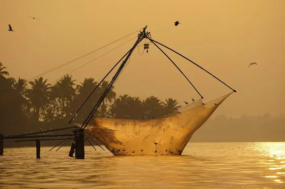 Ashtamudi Lake (2)