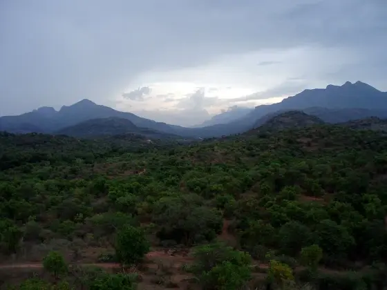 Chinnar Wildlife Sanctuary (1)