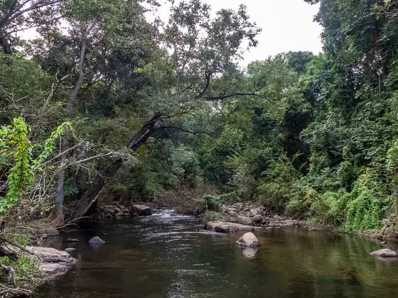 Chinnar Wildlife Sanctuary (2)