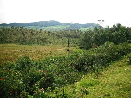 The village and green hills in the Devikulam landscape, viewed from the highway; this is not the lake.