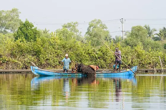 Ashtamudi Lake (5)