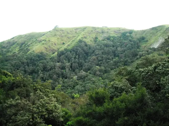 Idukki Wildlife Sanctuary (1)