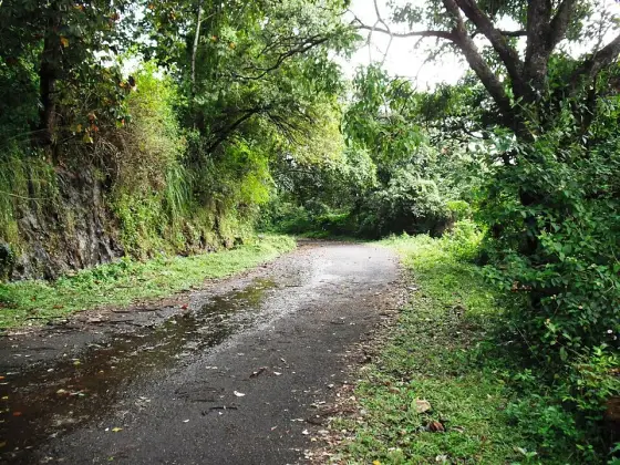 Idukki Wildlife Sanctuary (2)