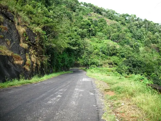 Idukki Wildlife Sanctuary (3)