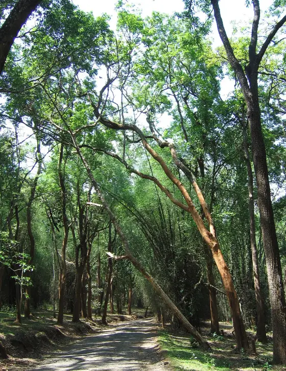 Kuruva Island (3)