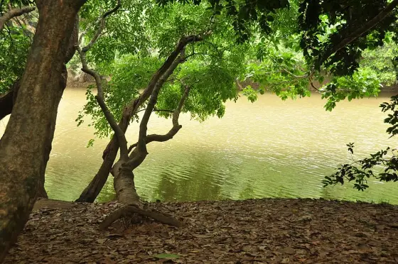 Kuruva Island (1)