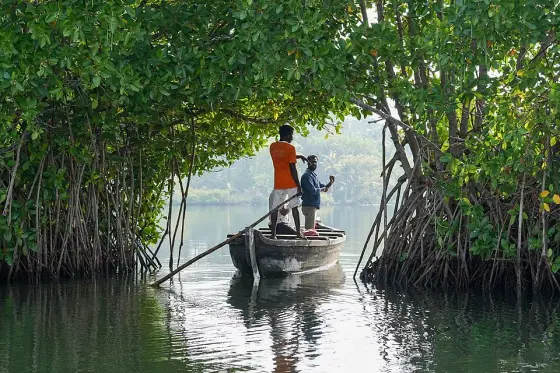 Ashtamudi Lake (1)
