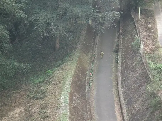 Mattupetty Dam (3)