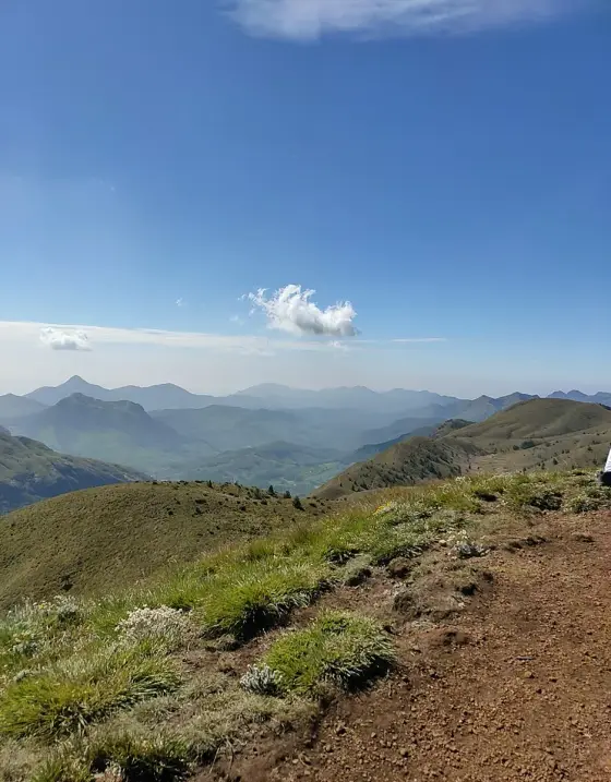 A stony section of the Meesapulimala trekking route.