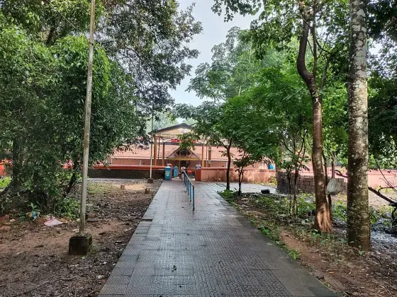 The tree-lined approach at Sree Mannanpurathukavu in Nileshwar.