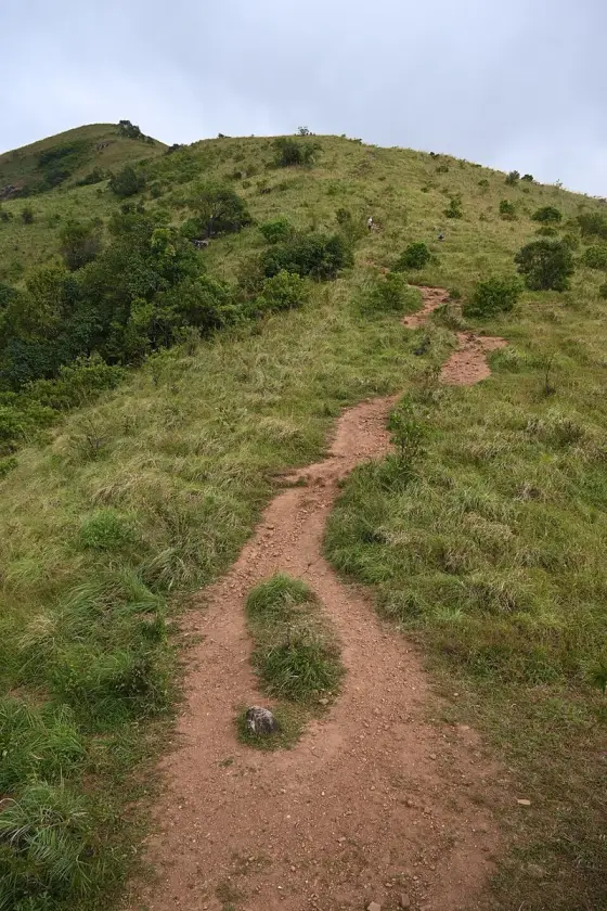 A footpath on the Brahmagiri route from Thirunelli.