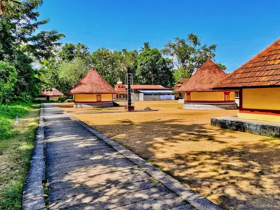 A shaded courtyard edge beside the tiled shrines.