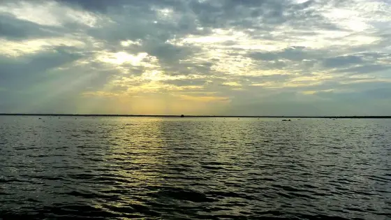 Late light over the open expanse of Vembanad.
