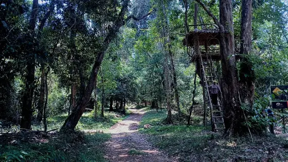 The shaded forest path at Aralam Wildlife Sanctuary.
