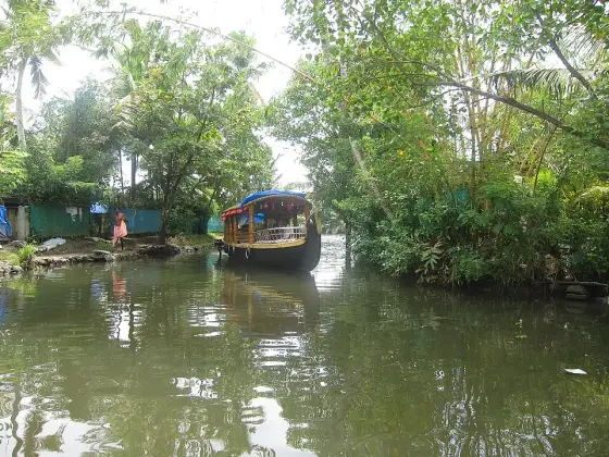 A narrow palm-lined channel on the Alappuzha side.