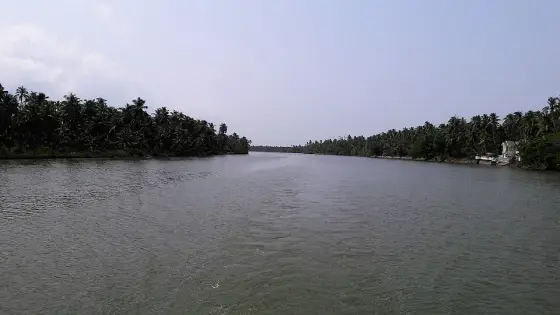 Chettuva Backwaters (2)