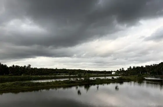 The Anjarakandy river channel near Dharmadam.