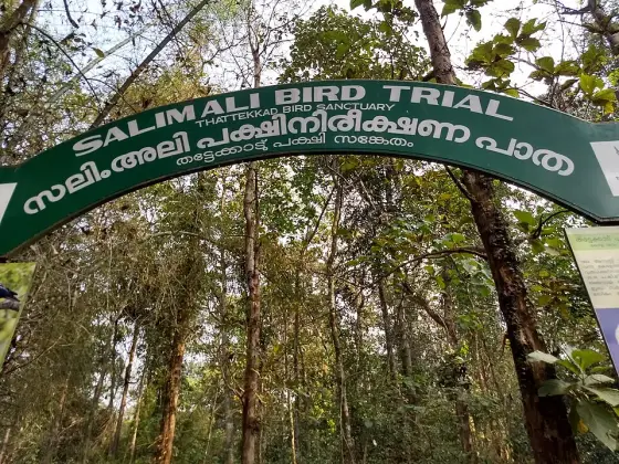 Thattekkad Bird Sanctuary (2)
