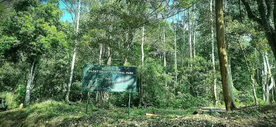 A forest information board at Silent Valley.