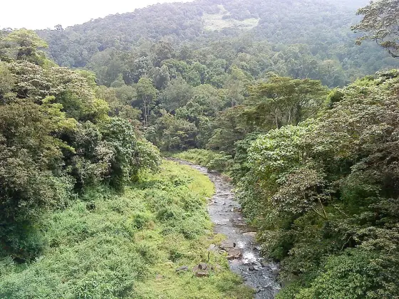 Silent Valley and Mukkali (5)