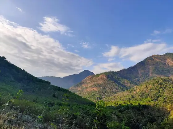 The wooded hills surrounding the Marmala valley.