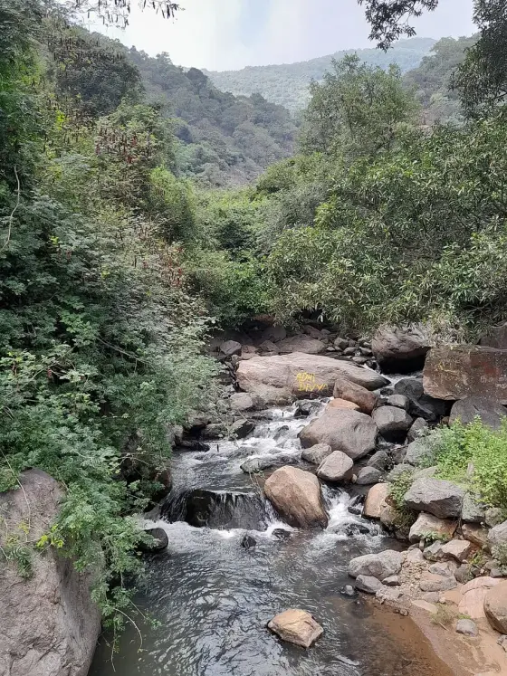 Boulders in the stream below the falls.