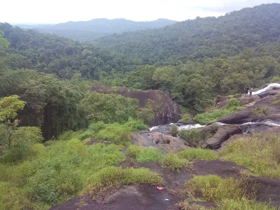 Marottichal Falls (2)