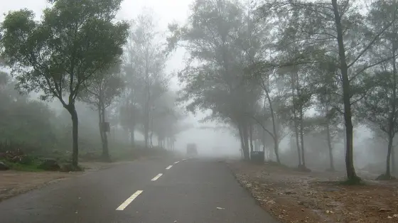 Ponmudi viewpoint (3)