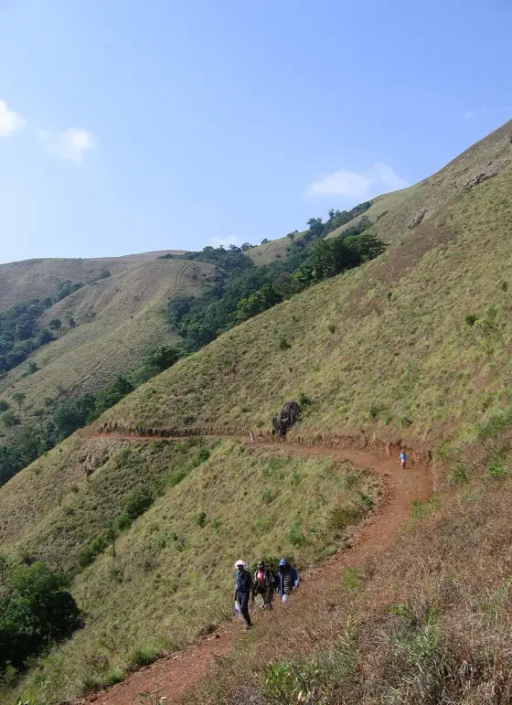Walkers on the open hillside along the Pakshipathalam approach; access requires current confirmation.