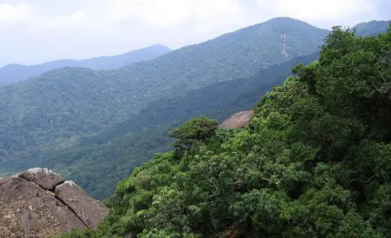 Rock and forest on the historical approach from Thirunelli.