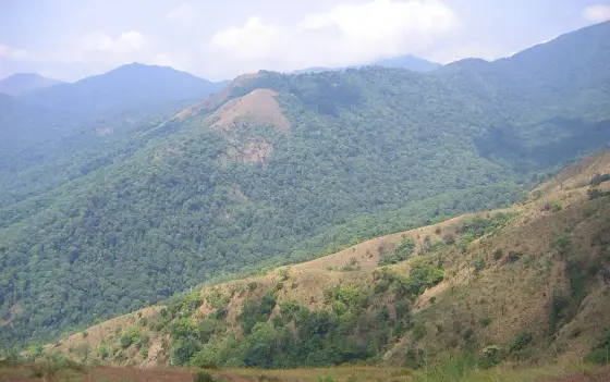 The wooded valley below the ridge.