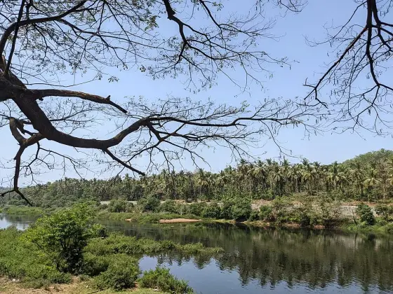 Reservoir water framed by branches.