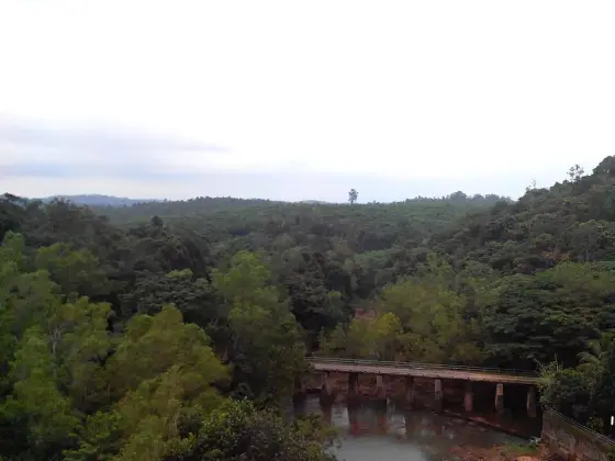 Peppara Dam (4)