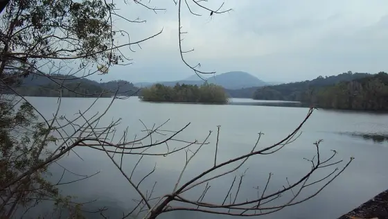 Peppara trek (1)