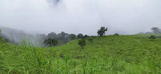The open grassy ridge after the wooded section.